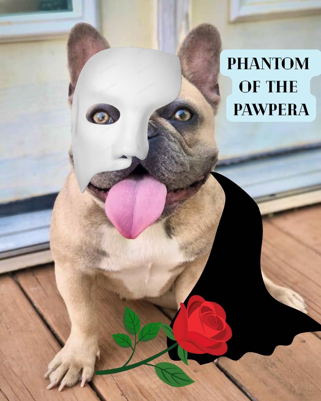 A French bulldog in a white half-mask and black cape with a drawn-on red rose, labelled “PHANTOM OF THE PAWPERA”.